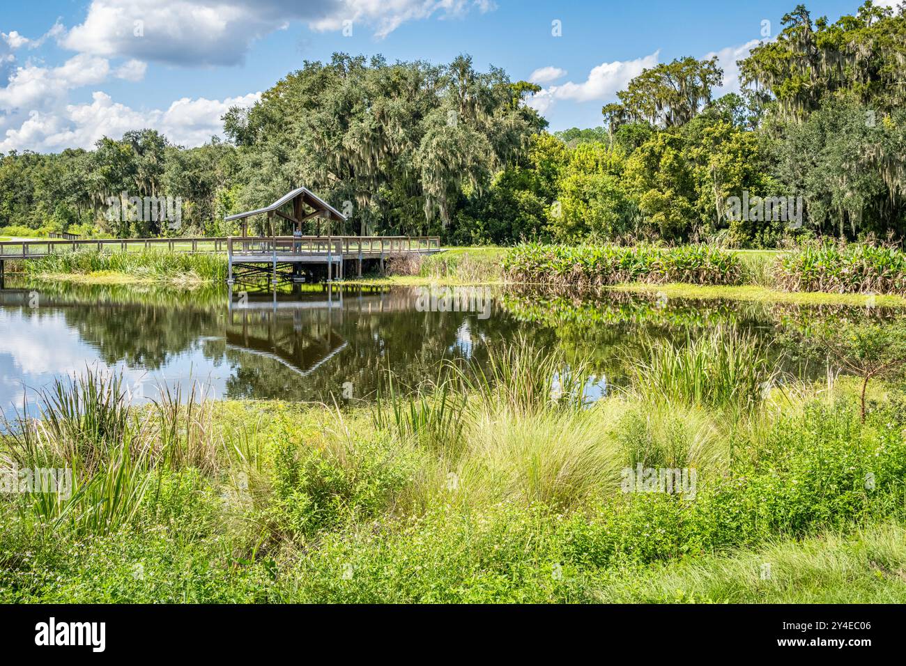 Gli appassionati di birdwatching cercano la fauna selvatica da un rifugio sul lungomare presso lo Sweetwater Wetlands Park lungo la Paynes Prairie Preserve a Gainesville, Florida. (USA) Foto Stock
