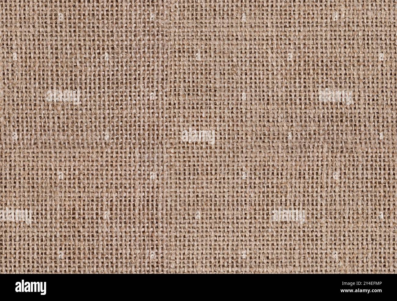 Tela di sacchino naturale texture assiana - sfondo rosso organico. Primo piano di tessuti organici tradizionali fatti di fibre dalla pelle di una pianta di iuta. Foto Stock