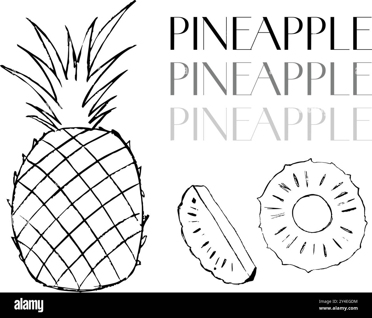 illustrazione disegnata a mano di ananas, scarabocchi di ananas Illustrazione Vettoriale