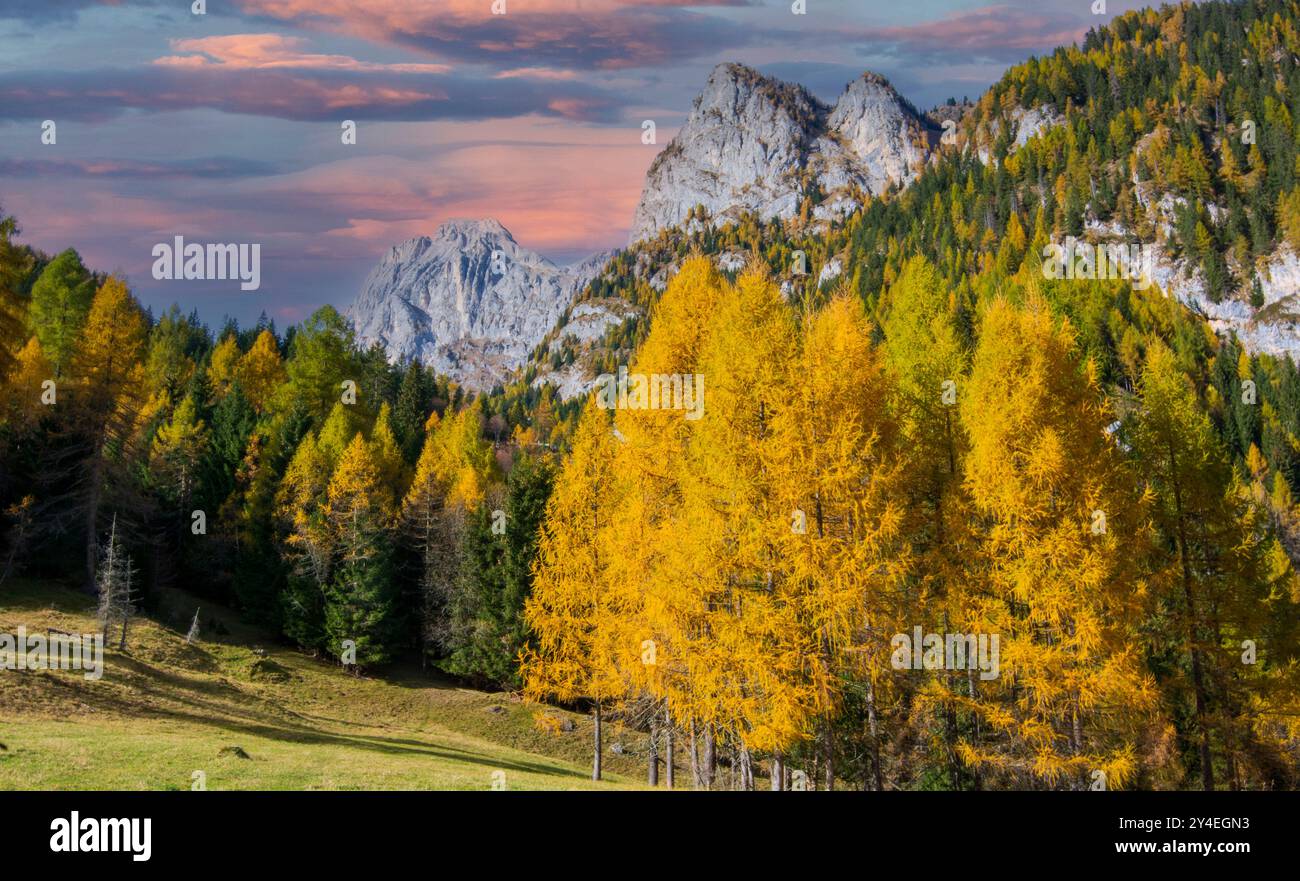 Gli splendidi colori dell'autunno nelle Dolomiti italiane Foto Stock