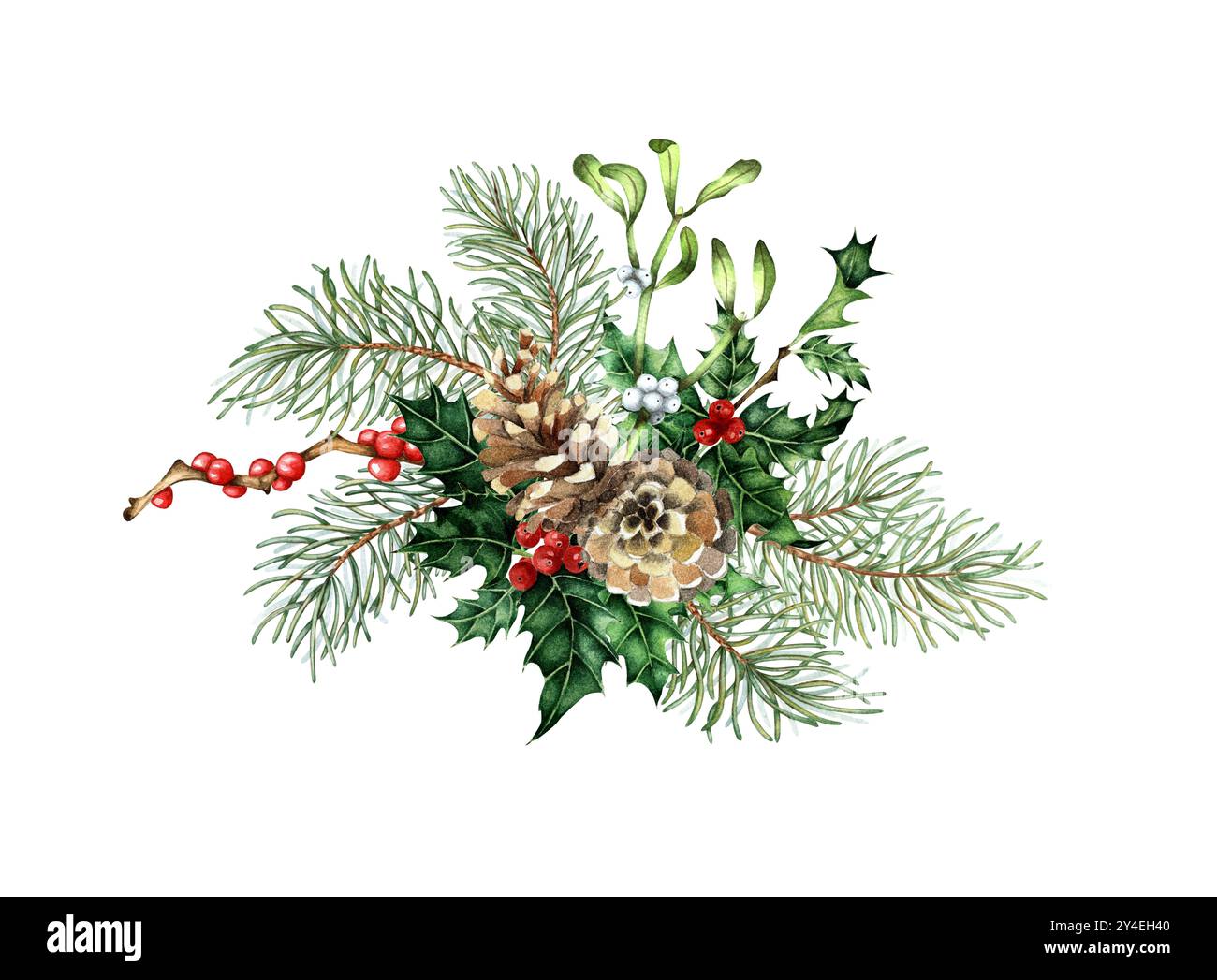 Rami di abete con aghi verdi, coni, agrifoglio, mignolo, bacca rossa, illustrazione ad acquerello bouquet. Piante forestali per decorazioni invernali e natalizie. È Foto Stock