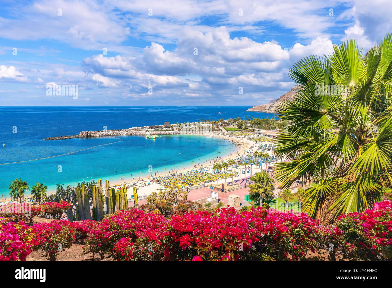 Amadores Beach a Gran Canaria, con acque turchesi, palme e un'atmosfera rilassante, perfetta per una vacanza tropicale o una fuga in famiglia. Foto Stock