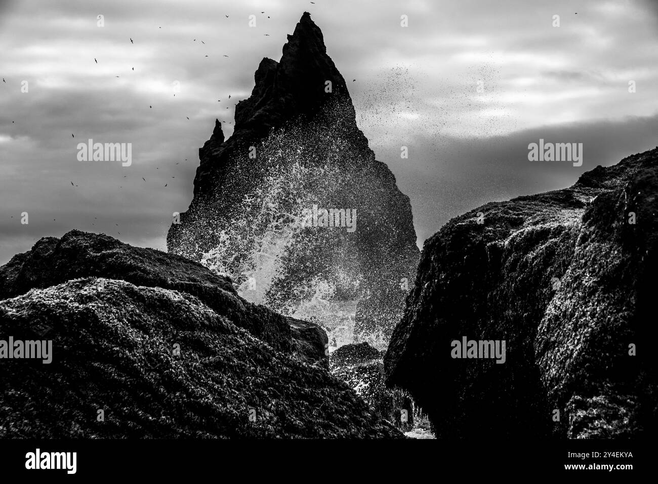Spiaggia di ciottoli di lava nera con onde che si infrangono clamorosamente sulle scogliere di roccia lavica nera con splendide pile a Reynisdrangar a Vik in Islanda Foto Stock