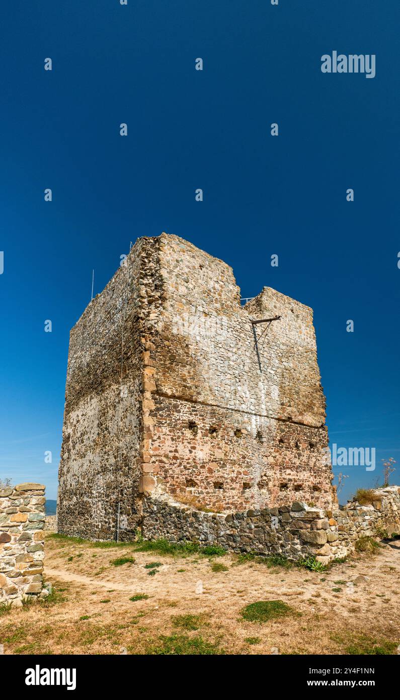 Il castello di Saris, XIII secolo, vicino a Veľký Šariš e Presov, Carpazi occidentali, regione di Presov, Slovacchia Foto Stock