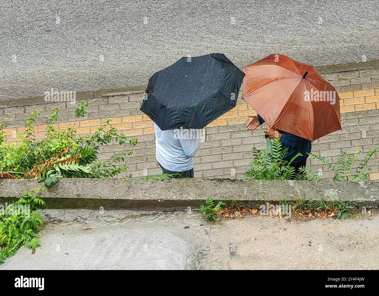 Conversazione segreta, sotto ombrelli: Due uomini che si incontrano in un giorno di pioggia. Foto Stock