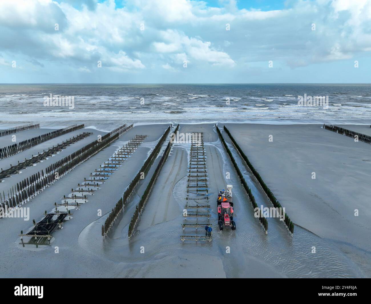 Berck-sur-Mer (Francia settentrionale): Allevamento di cozze lungo la zona costiera "cote d'Opale". Vista aerea delle cozze d'allevamento scoperte dalle maree Foto Stock