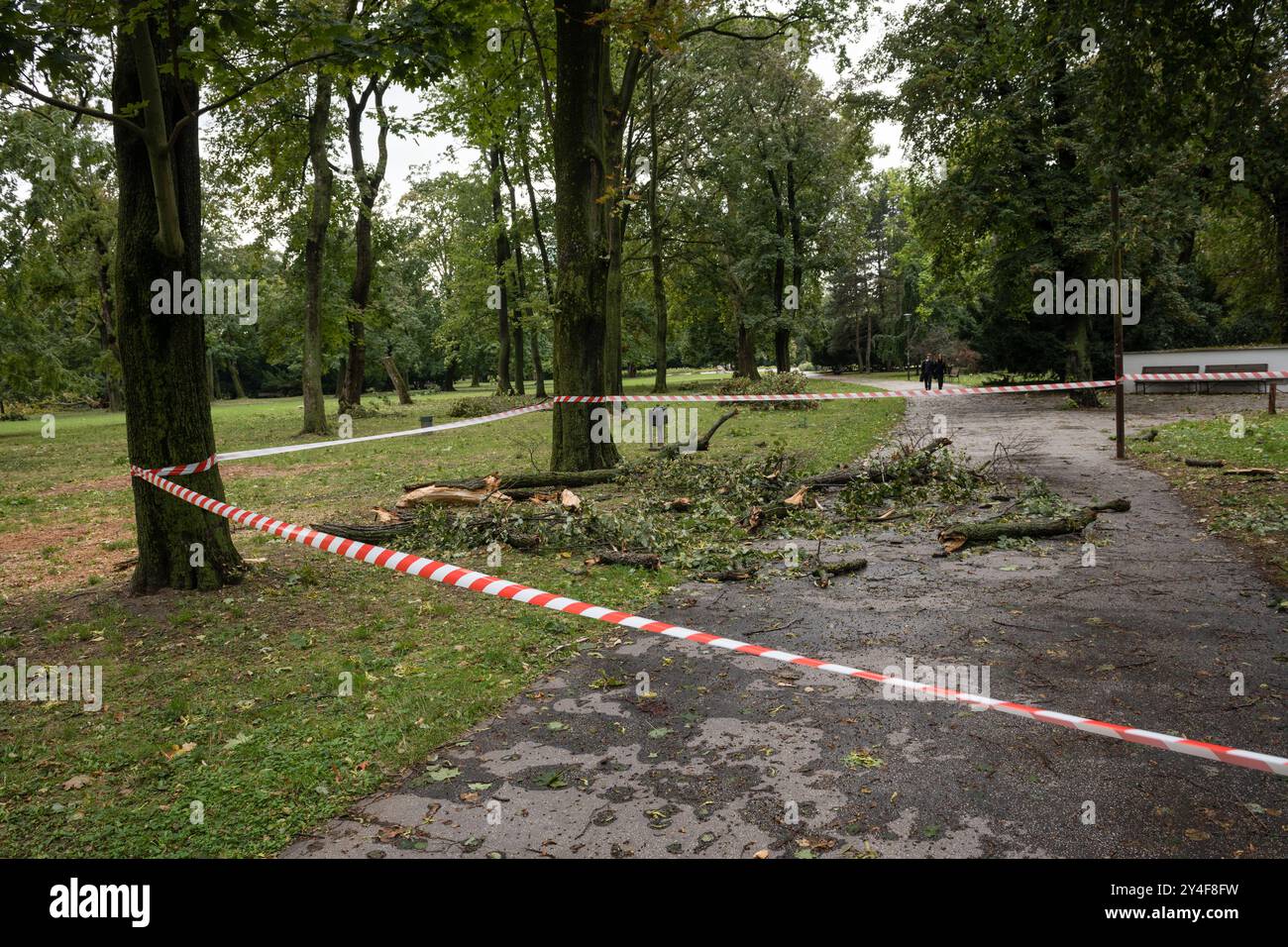 BRATISLAVA, SLOVACCHIA - 17 settembre 2024: Rami di alberi rotti dal forte vento nel parco cittadino di Janko Kral, Bratislava, Slovacchia Foto Stock