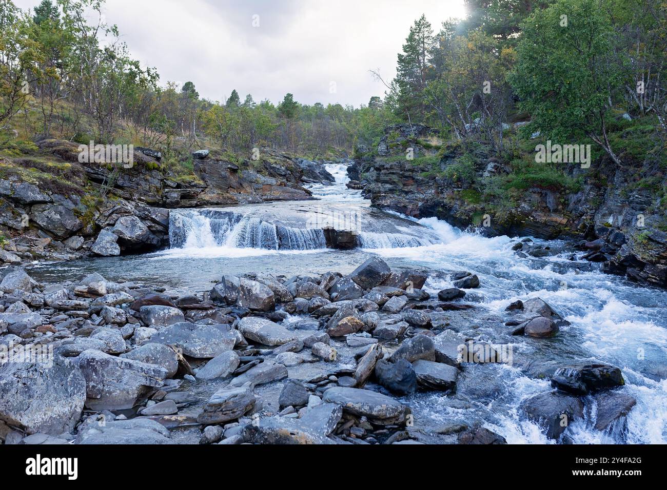 Famiglia con bambini e cani, escursioni nel Parco Nazionale di Abisko vicino a Kiruna in estate, bambini e adulti si divertono insieme Foto Stock