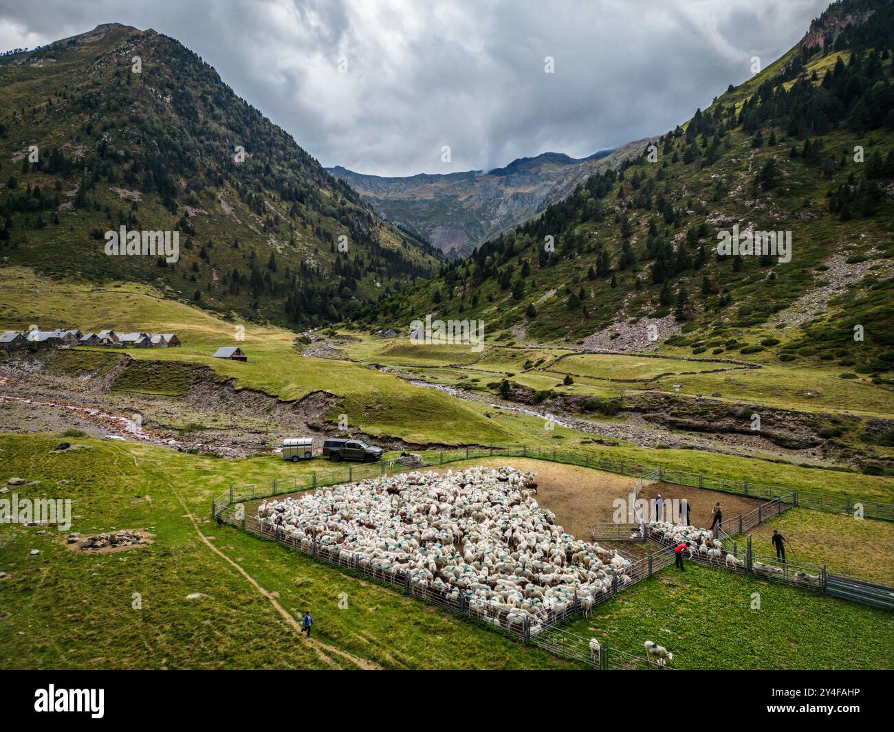 Dipartimento Hautes-Pyrenees (Pirenei superiori, Francia sud-occidentale): Atmosfera alla fine della transumanza, prima dell’autunno, nella valle di Moudang, in alto Foto Stock