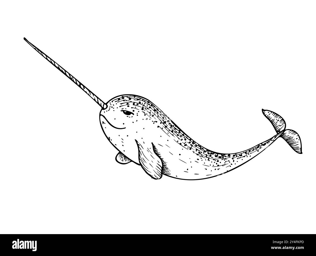 Vettore narwhale con un lungo corno. Animale marino dipinto a mano. Grafica clip art tropicale isolata sullo sfondo. Illustrazione sott'acqua. Per i progettisti, Illustrazione Vettoriale