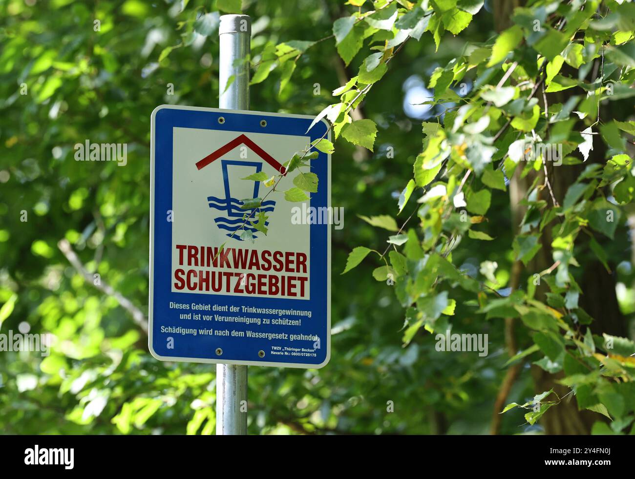 Natur 15.09.2024, Hohe Schrecke / nahe Burgwenden, Schild mit der Aufschrift Trinkwasserschutzgebiet *** natura 15 09 2024, Hohe Schrecke vicino a Burgwenden, cartello con l'iscrizione area di protezione dell'acqua potabile Foto Stock