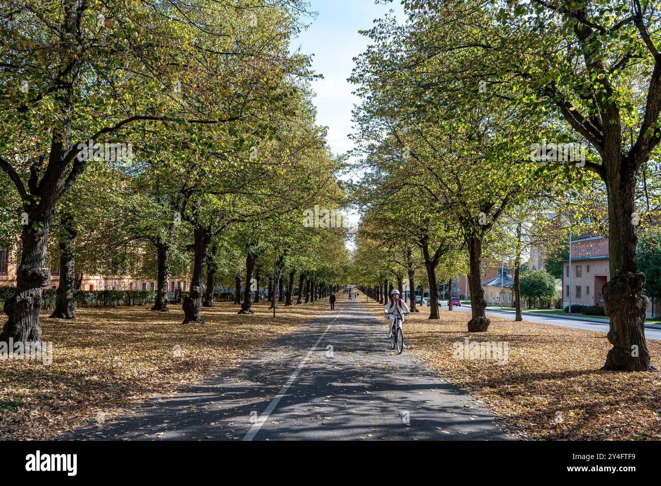 Ciclista sul lungomare meridionale di Norrköping, Svezia. Le Promenadi di Norrköping sono state ispirate dalla Ringstrasse di Vienna e dai viali di Parigi. Foto Stock