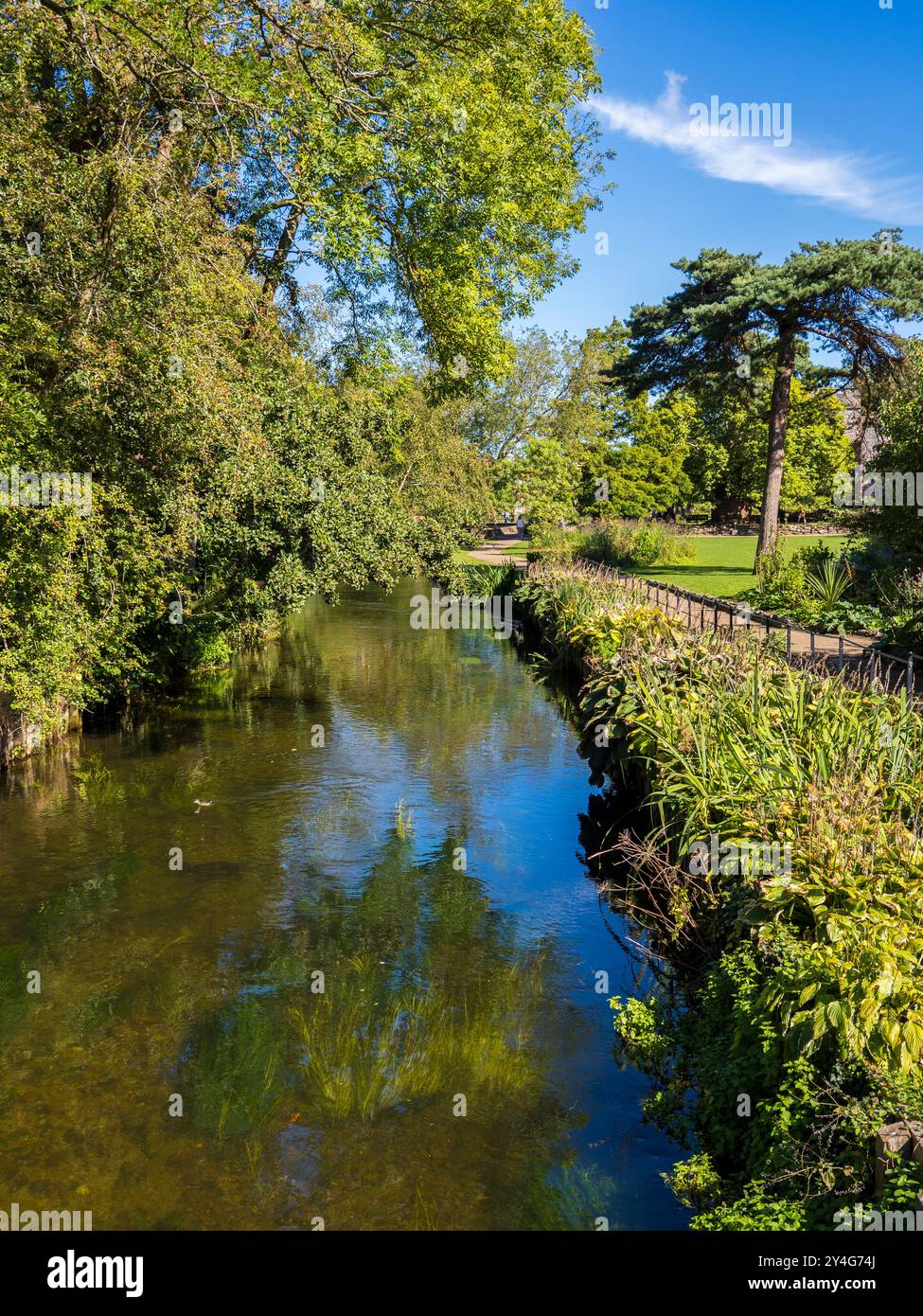 Great Stour, Westgate Gardens, Canterbury, Kent, Regno Unito, GB. Foto Stock