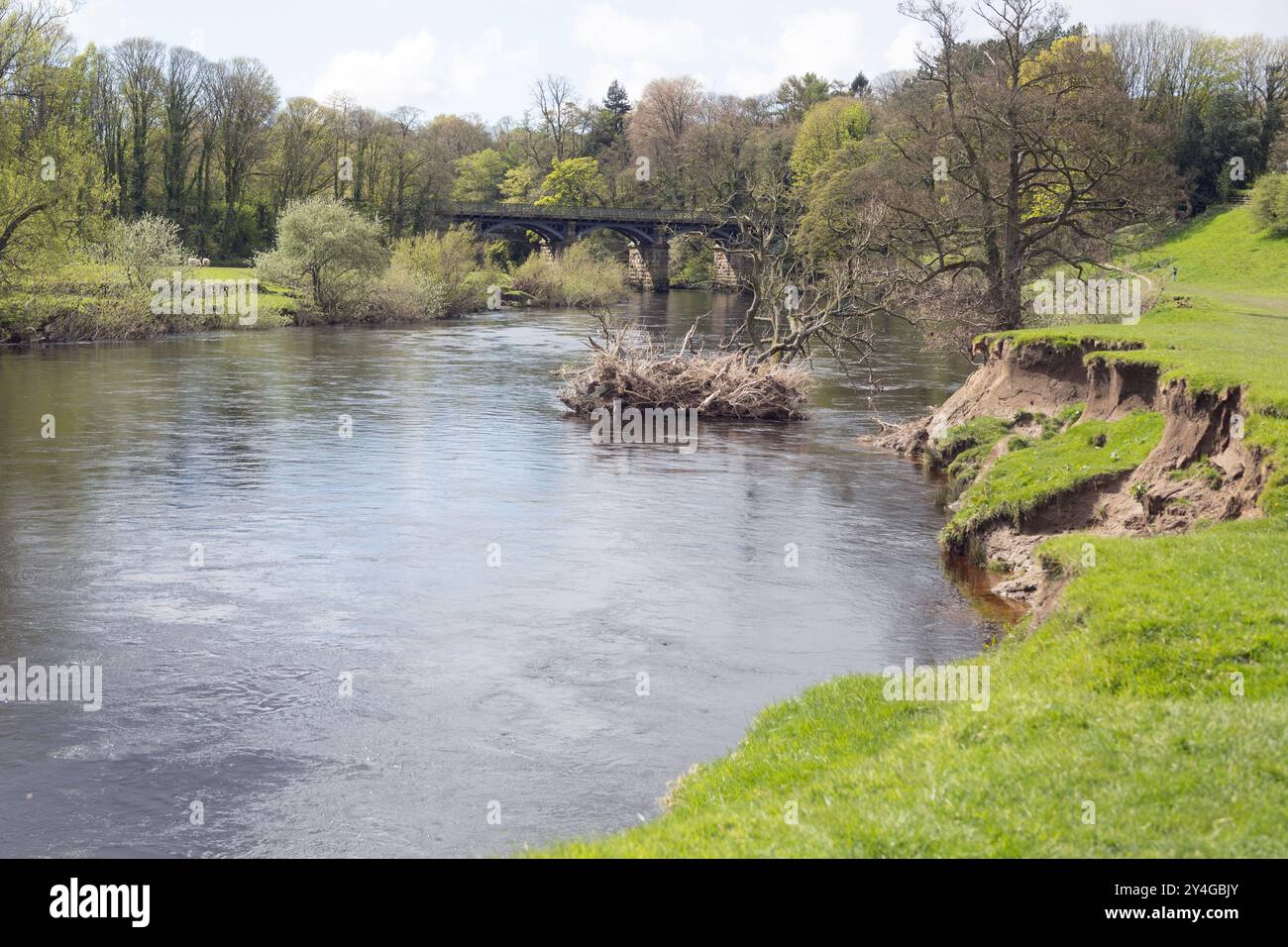 Viadotto ferroviario ora un sentiero pedonale e un sentiero nuziale che attraversa il fiume Lune al Crook di Lune vicino Lancaster Lancashire Inghilterra Foto Stock