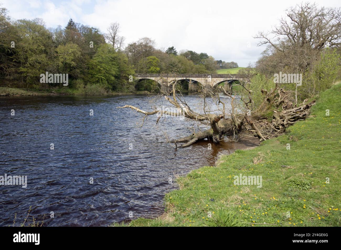 Ponte che attraversa il fiume Lune al Crook di Lune vicino Lancaster Lancashire Inghilterra Foto Stock