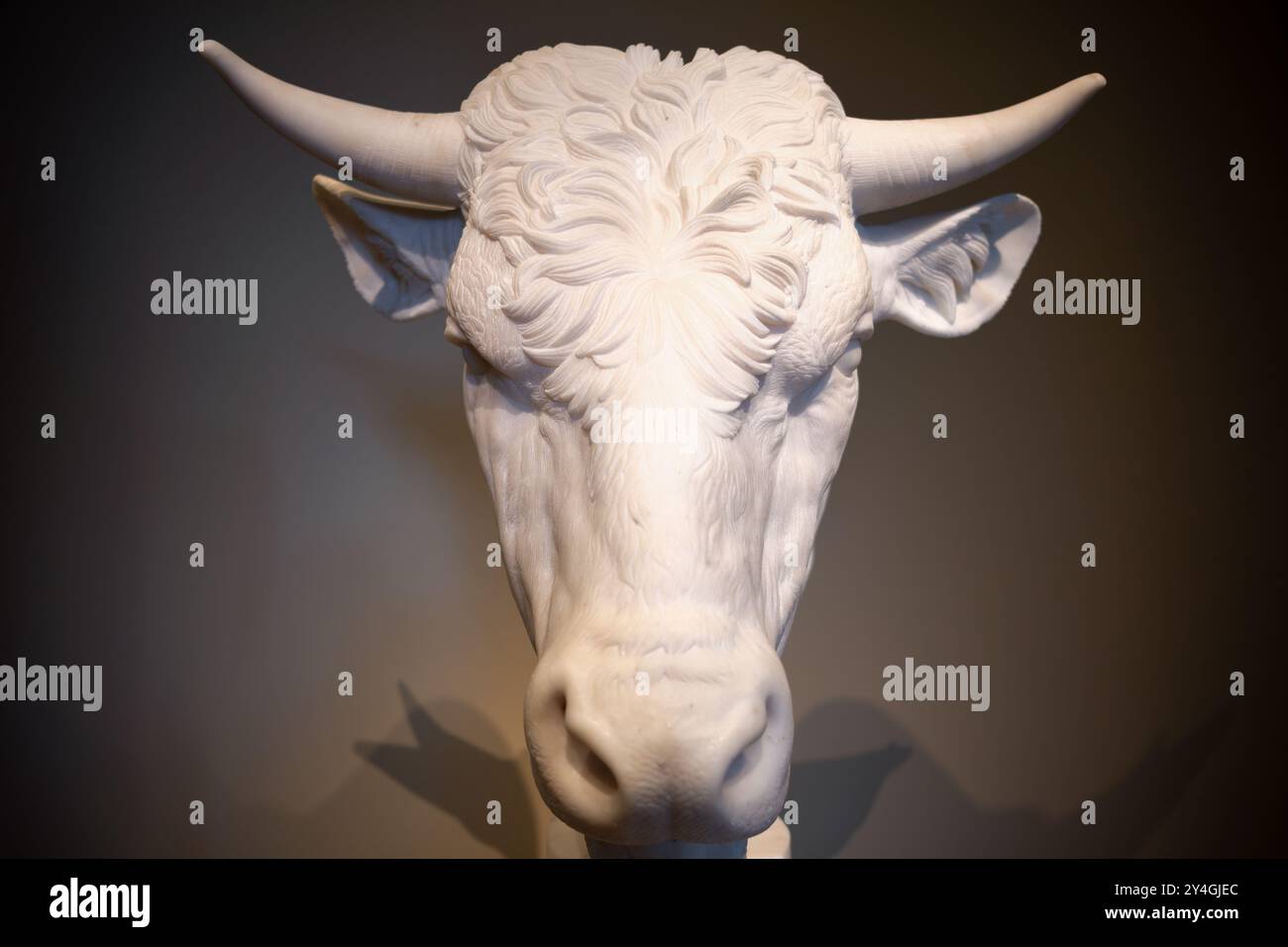 WASHINGTON DC, Stati Uniti — Head of a Bull, una scultura in marmo creata dall'artista italiano Gaetano Monti nel 1824, in mostra alla National Gallery of Art La scultura neoclassica realistica raffigura una rappresentazione dettagliata e anatomicamente accurata della testa di un toro. Foto Stock