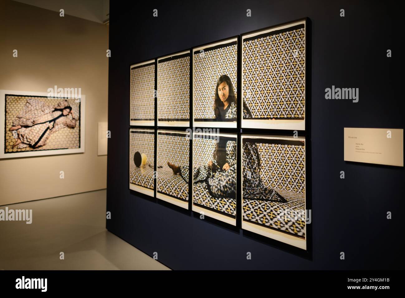 WASHINGTON DC - Una sezione della serie Les Femmes de Maroc, parte della mostra di revisioni dell'artista marocchina Lalla Essaydi, è esposta allo Smithsonian National Museum of African Art di Washington DC. Il museo, dedicato alla mostra di arte africana antica e contemporanea, si trova sotterraneo dietro lo Smithsonian Castle sul National Mall. Foto Stock