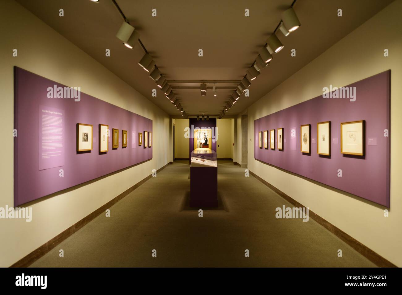 WASHINGTON DC - Una galleria che espone piccole incisioni di James McNeill Whistler alla Freer Gallery of Art sul National Mall. Questo intimo spazio espositivo mostra la maestria di Whistler nella tecnica dell'incisione, offrendo ai visitatori un'occhiata da vicino alle stampe dettagliate e suggestive dell'artista americano, che formano una parte significativa della collezione dello Smithsonian Institution. Foto Stock