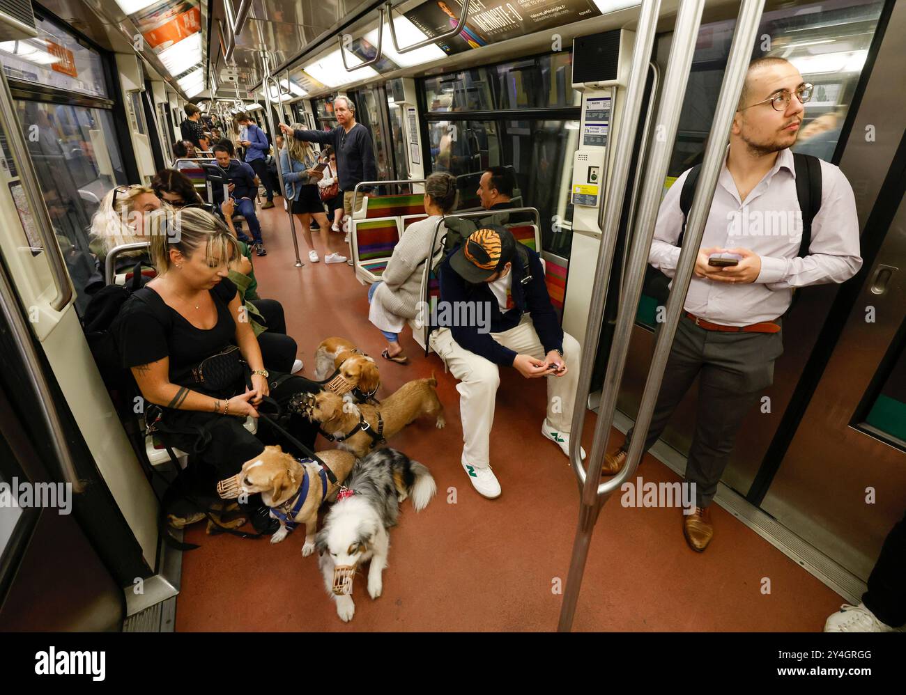 DOG WALKER NELLA METROPOLITANA PARIGINA Foto Stock