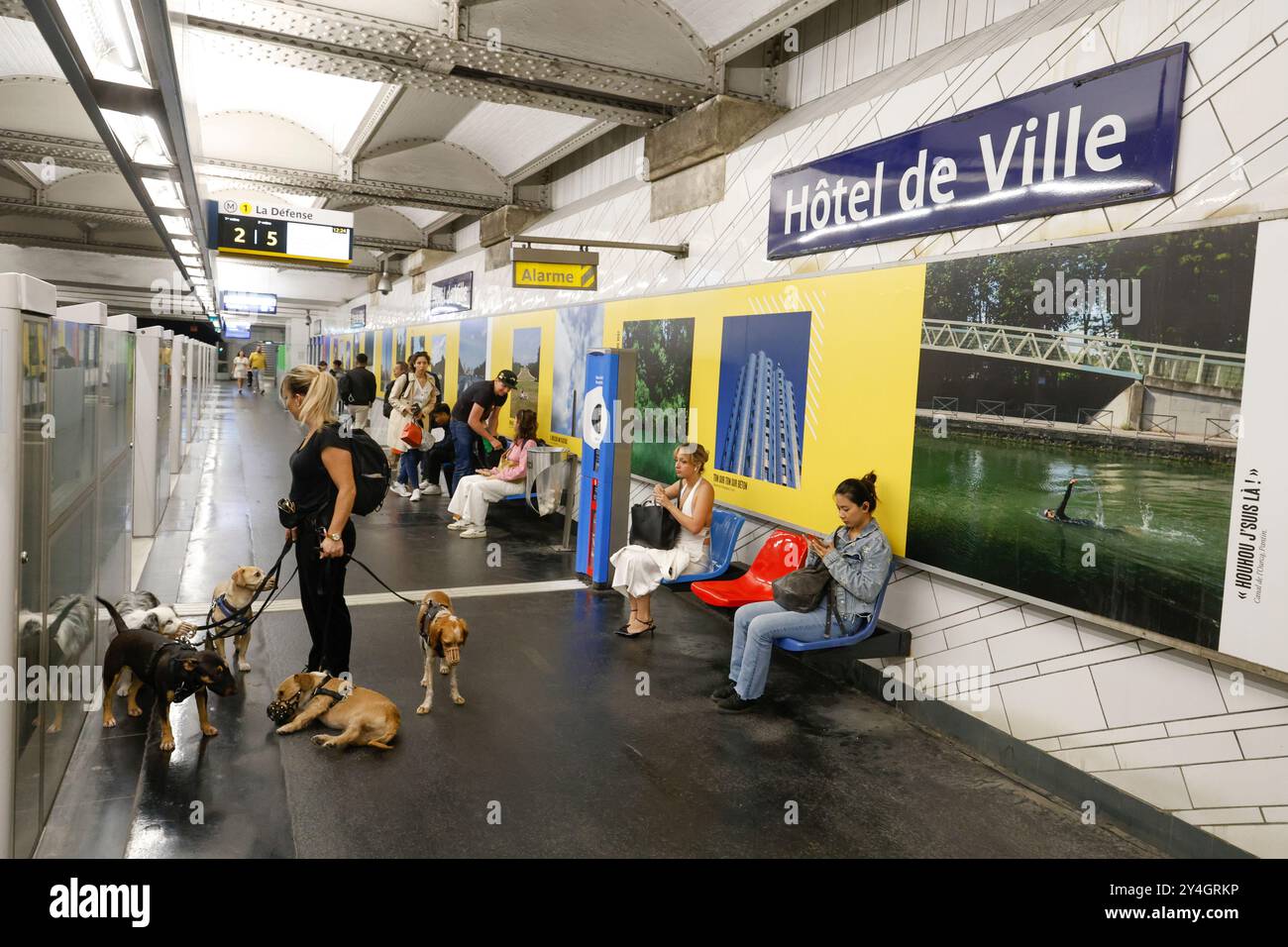 DOG WALKER NELLA METROPOLITANA PARIGINA Foto Stock