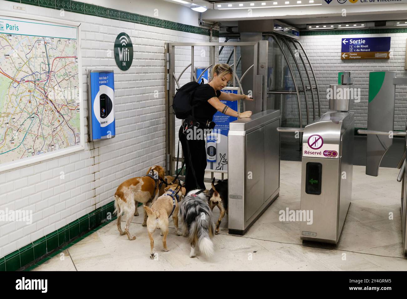 DOG WALKER NELLA METROPOLITANA PARIGINA Foto Stock