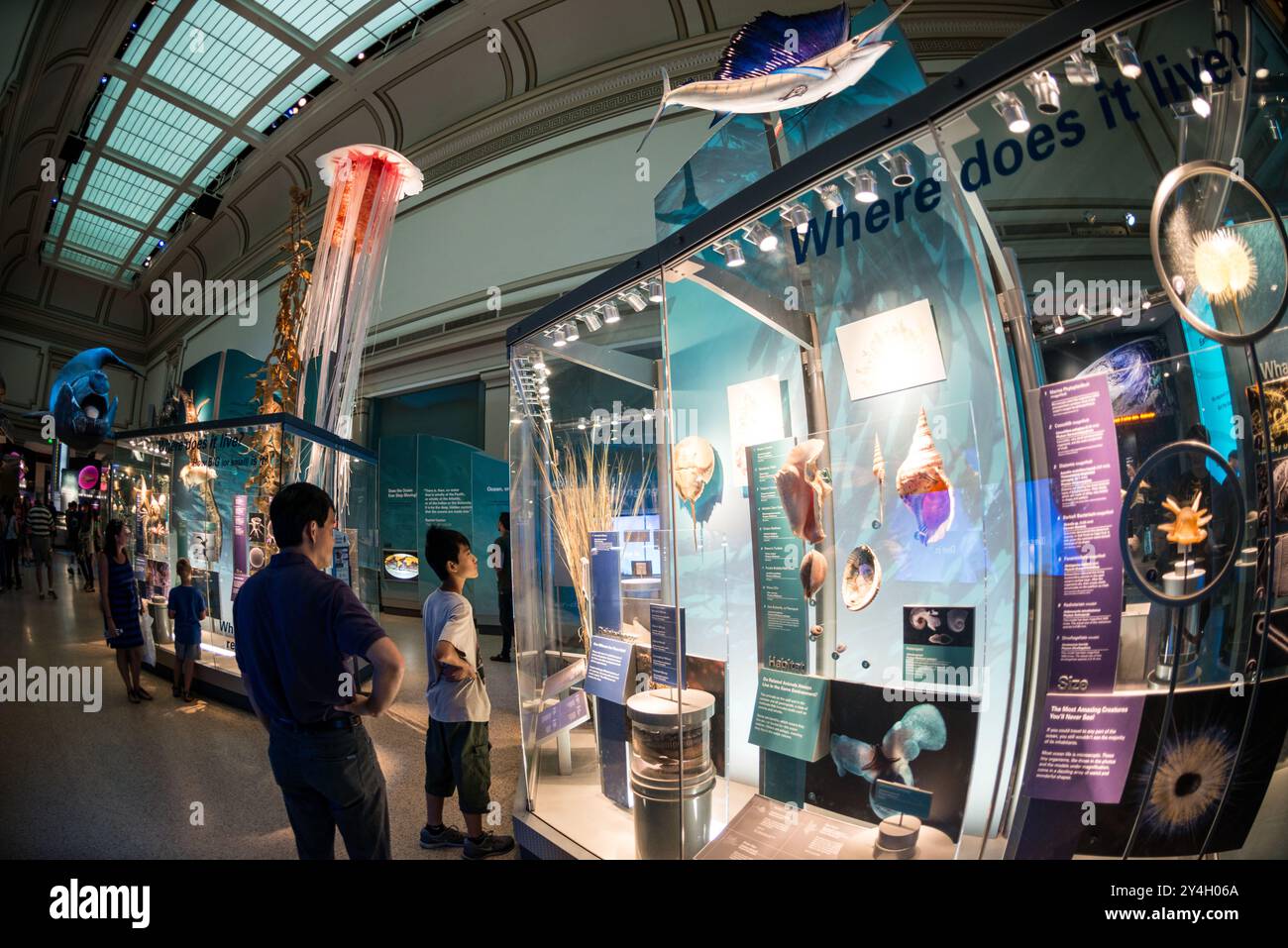 Smithsonian National Museum of Natural History Sant Ocean Hall Washington DC // WASHINGTON DC - la Sant Ocean Hall presso lo Smithsonian National Museum of Natural History sul National Mall. Questa grande mostra di 000 metri quadrati mette in mostra le vaste collezioni marine del museo, con una replica lunga 45 metri di una balena destra dell'Atlantico settentrionale, un modello di calamaro gigante e mostre interattive che esplorano gli ecosistemi oceanici dalla superficie al mare profondo. Foto Stock