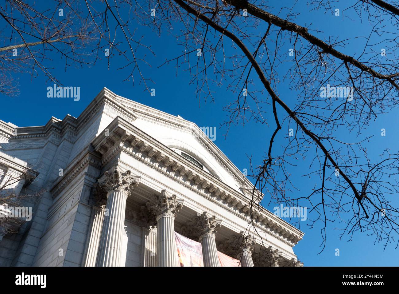 Smithsonian National Museum of Natural History Portico Washington DC // WASHINGTON D.C. — il portico principale dello Smithsonian National Museum of Natural History sul National Mall. Il museo, inaugurato nel 1910, ospita una delle più grandi collezioni di storia naturale del mondo, con oltre 145 milioni di esemplari e manufatti. L'edificio neoclassico è stato progettato dallo studio di architettura Hornblower & Marshall e funge da fiore all'occhiello del museo di storia naturale dello Smithsonian Institution. Le collezioni del museo comprendono paleontologia, mineralogia, antropologia e zoologia, attirando milioni di persone Foto Stock