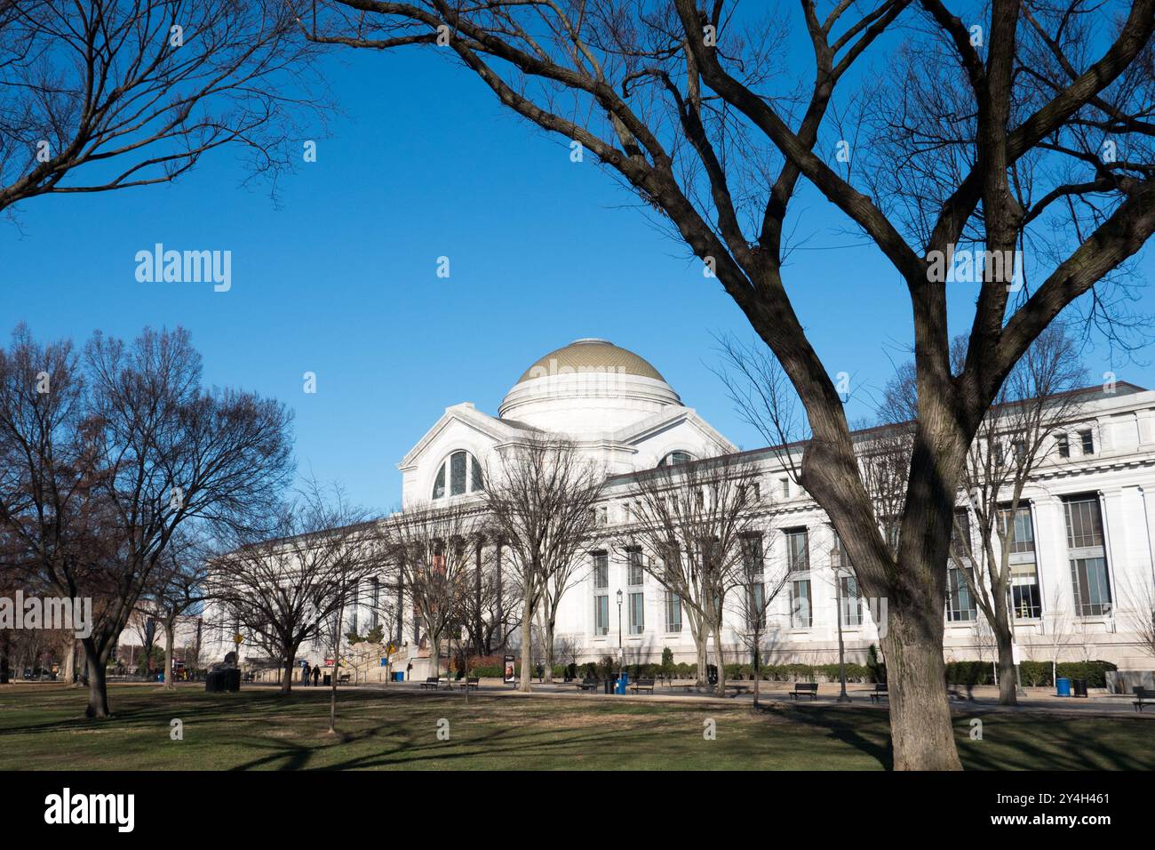 Smithsonian National Museum of Natural History Exterior Washington D.C. // WASHINGTON D.C. — l'esterno dello Smithsonian National Museum of Natural History sul National Mall. Il museo, inaugurato nel 1910, ospita una delle più grandi collezioni di storia naturale del mondo, con oltre 145 milioni di esemplari e manufatti. L'edificio neoclassico è stato progettato dallo studio di architettura Hornblower & Marshall e presenta una caratteristica cupola verde. Il museo fa parte dello Smithsonian Institution, il più grande museo e complesso di ricerca del mondo. Situato sul National Mall tra la nona e la 12t. Foto Stock