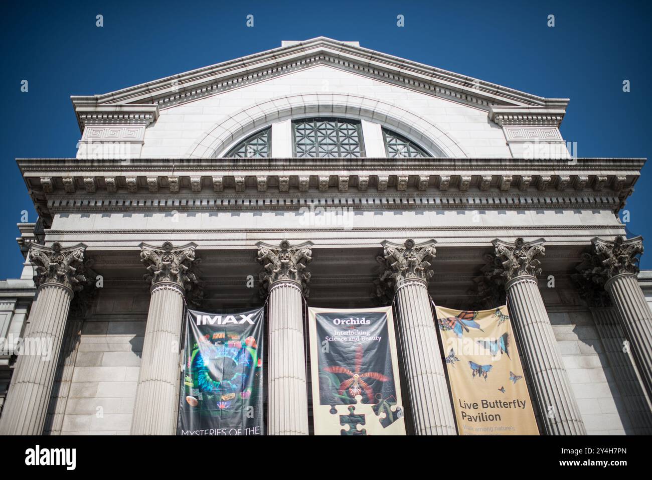 Smithsonian National Museum of Natural History facciata Washington DC // WASHINGTON DC - l'ingresso principale dello Smithsonian National Museum of Natural History si affaccia sul National Mall. Il museo, inaugurato nel 1910, fa parte dello Smithsonian Institution e ospita una delle più grandi collezioni di storia naturale del mondo. L'edificio neoclassico è stato progettato dallo studio di architettura Hornblower & Marshall e funge da importante centro di ricerca e museo pubblico. Le collezioni dell'istituto includono campioni e manufatti che spaziano dalla geologia, alla paleontologia, alla zoologia, alla botanica e all'antropologia. Foto Stock