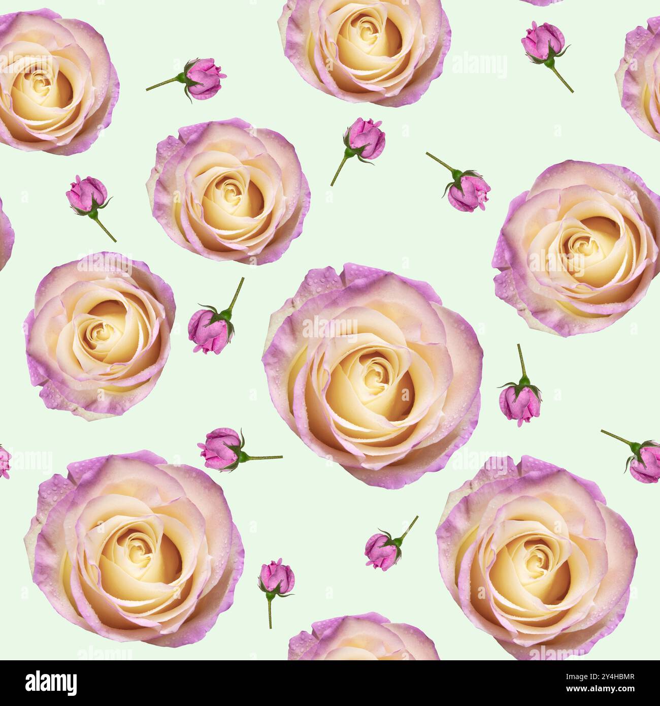 Un bellissimo motivo senza cuciture con vista ravvicinata di delicate rose rosa e bianche, perfetto per design romantici ed eleganti. Ideale per le carte nuziali, Foto Stock