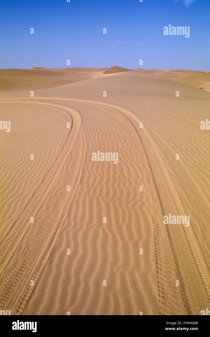 Deserto di Wahiba. Tracce lasciate dal passaggio di un veicolo fuoristrada Foto Stock
