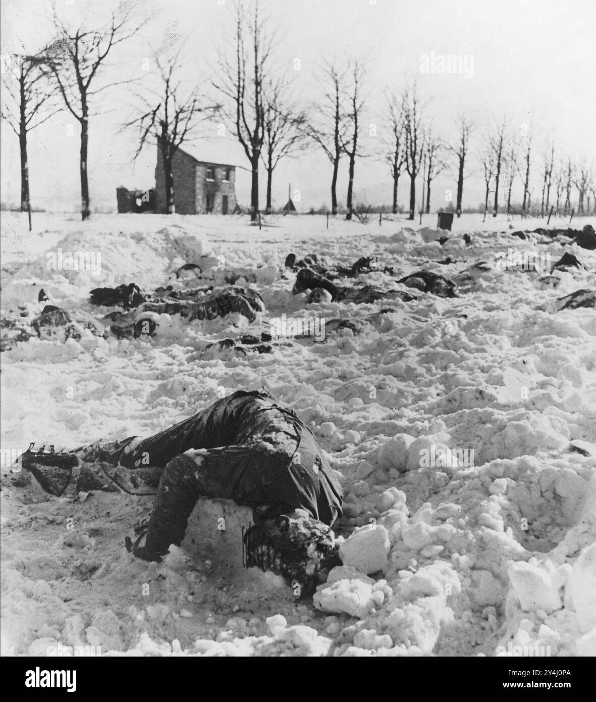 MASSACRO DI MALMEDY 17 dicembre 1944. Cadaveri dei soldati americani uccisi dalle Waffen-SS Foto Stock