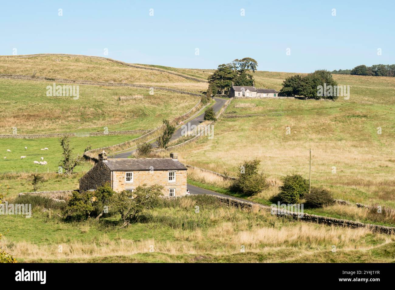 Una strada tortuosa che attraversa la campagna del Northumberland, Inghilterra, Regno Unito Foto Stock