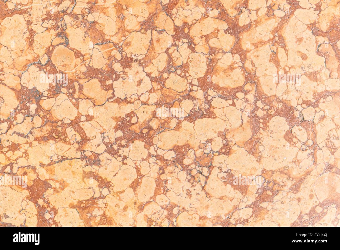 superficie in marmo, nota per la sua consistenza liscia e l'aspetto elegante. Il marmo è comunemente usato in varie architetture e design Foto Stock