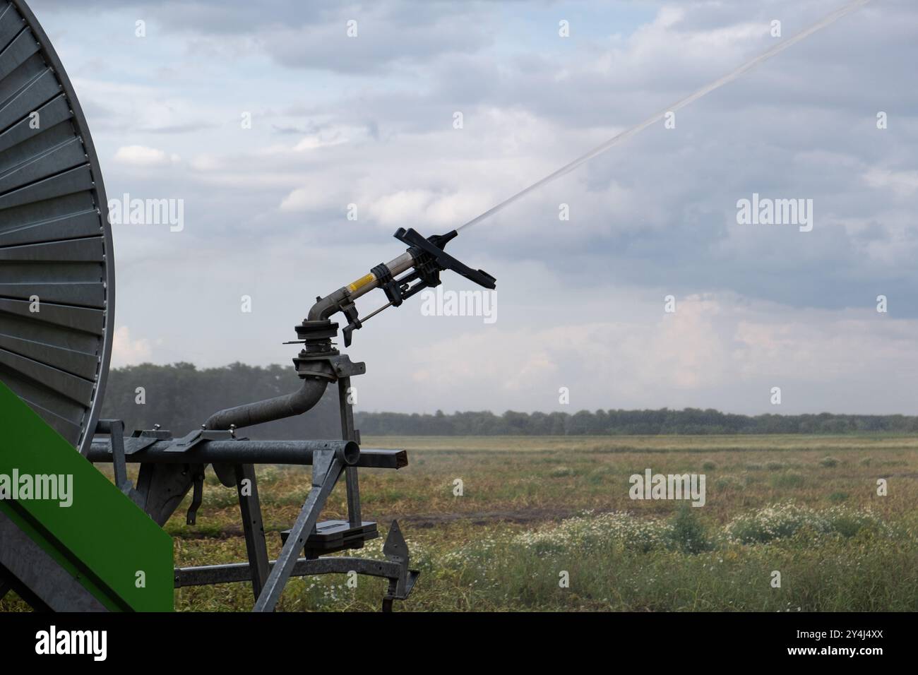 Un impianto sprinkler automatico irriga un campo di patate in estate, favorendo l'irrigazione agricola. Foto Stock