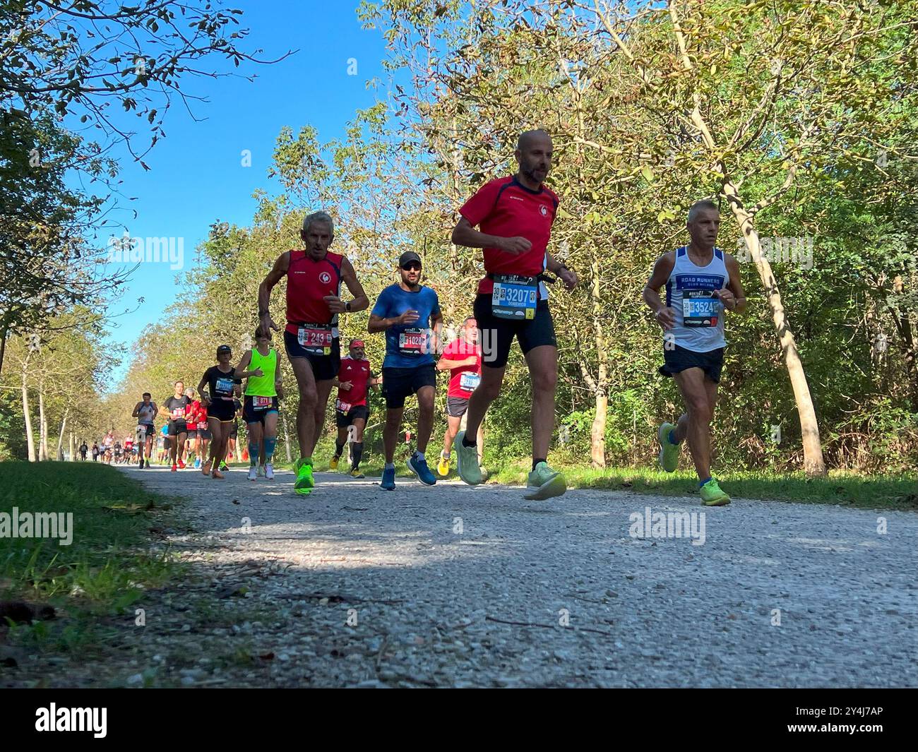 Monza, Italia - 15 settembre 2024: Gara di corsa degli atleti di gruppo durante la mezza maratona di Monza21 Foto Stock