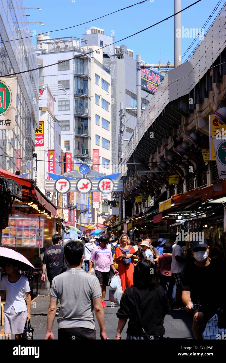Gli amanti dello shopping sulla strada dello shopping Ameyoko a Ueno, il quartiere dello shopping di Okachimachi, Taito Ward, Tokyo, Giappone Foto Stock
