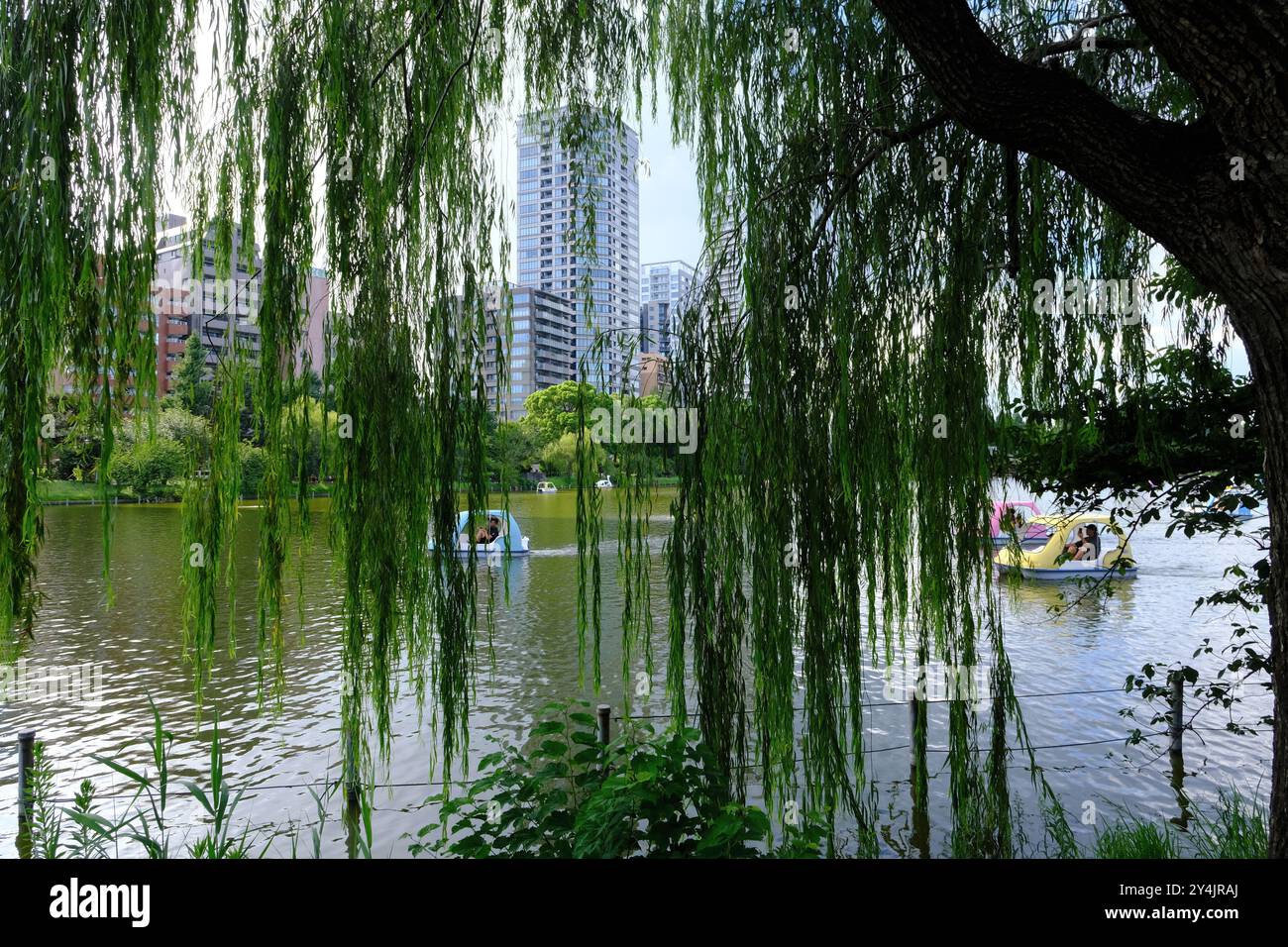 I visitatori che amano le pedalate nel laghetto delle barche, la parte dello stagno Shinobazu del parco di Ueno. Ueno, Taito Ward, Tokyo, Giappone Foto Stock