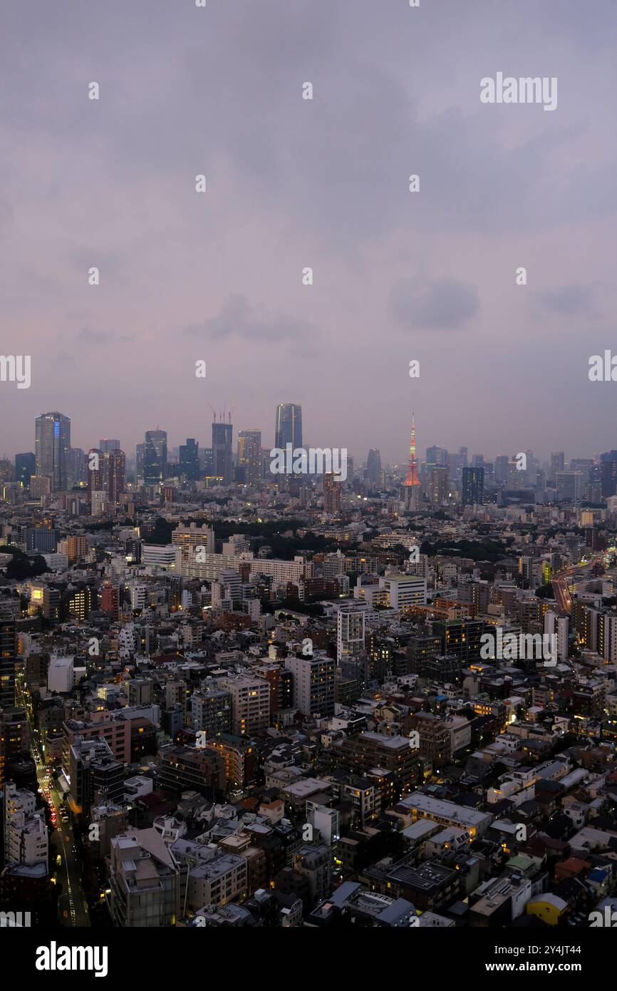 La vista crepuscolare della città di Tokyo verso Minato City con la Tokyo Tower a distanza dalla Sky lounge della Yebisu Garden Place Tower prima dell'arrivo di un tifone. Ebisu, Tokyo, Giappone Foto Stock