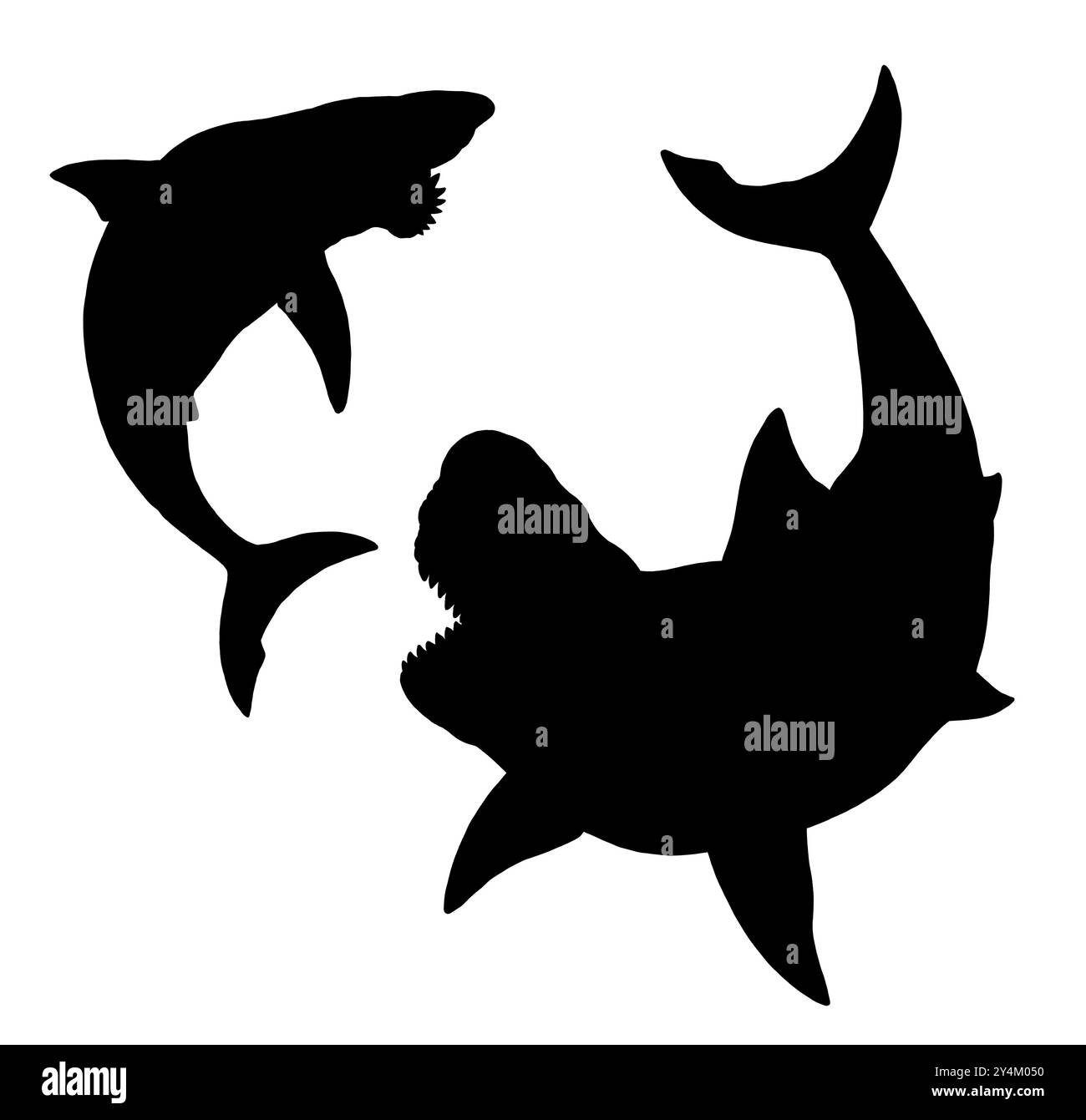 Lo squalo preistorico Megalodon attacca l'Helicoprion. Lotta tra pesci predatori. Disegno silhouette nero. Foto Stock