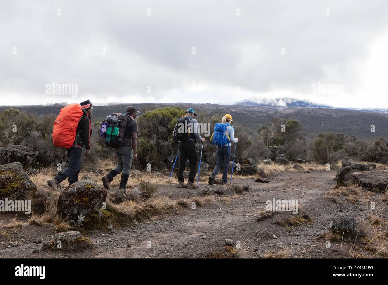 Fai un'escursione lungo il percorso di Lemosho sulla strada per la cima del monte Kilimanjaro. Foto Stock