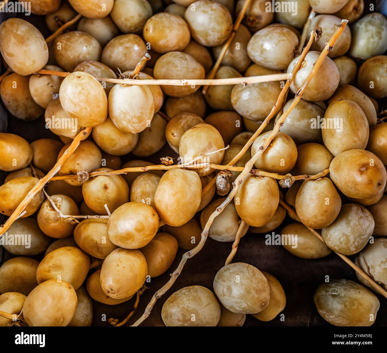 Un sacco di datteri freschi in vendita su un mercato agricolo Foto Stock