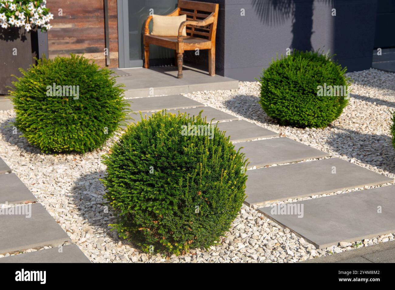 Gepflegter Vorgarten mit Ziersplitt, Gehwegplatten und Pflanzen in Kugelform *** giardino frontale ben tenuto con scheggiature ornamentali, lastre di pavimentazione e piante a forma di palla Copyright: XUdoxHerrmannx Foto Stock