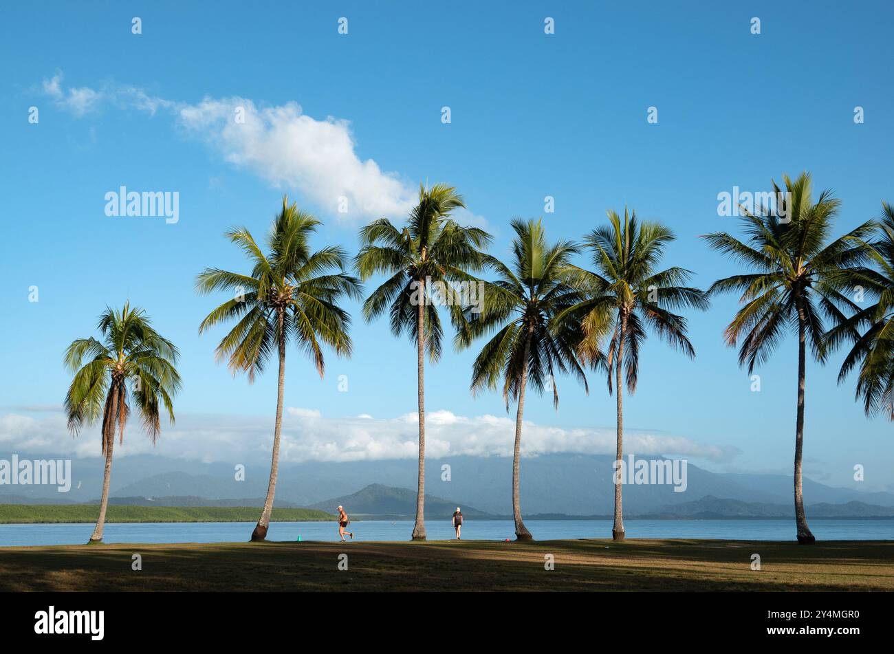 Port Douglas, Queensland, Australia. Rex Smeal Park nella destinazione turistica tropicale Port Douglas nel Queensland settentrionale. Foto Stock