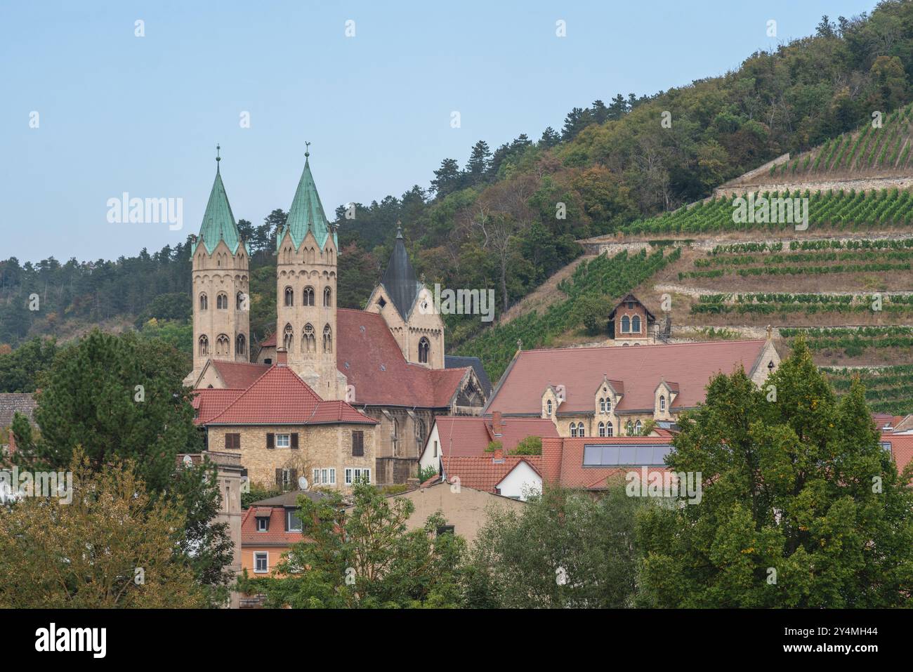Sankt Marien Kirche (Chiesa di Santa Maria) torri con vigneti sullo sfondo - chiesa gotica del XIII secolo a Friburgo, Sassonia-Anhalt, Germania Foto Stock