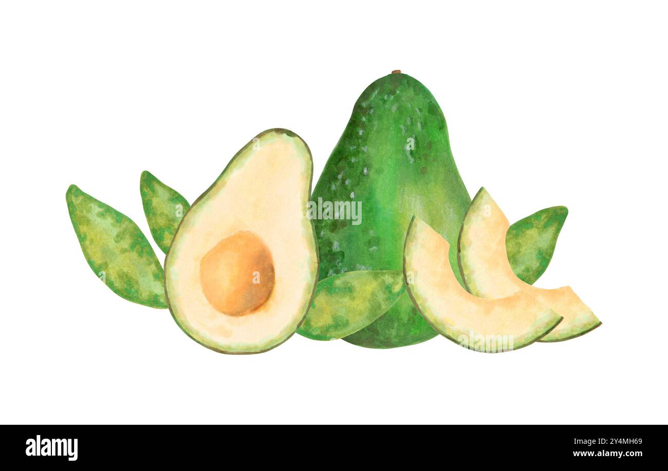 Composizione di frutta con interi, metà e fetta di avocado con foglie. Illustrazione dell'acquerello e del marcatore. Clipart isolato disegnato a mano. Botanico Foto Stock