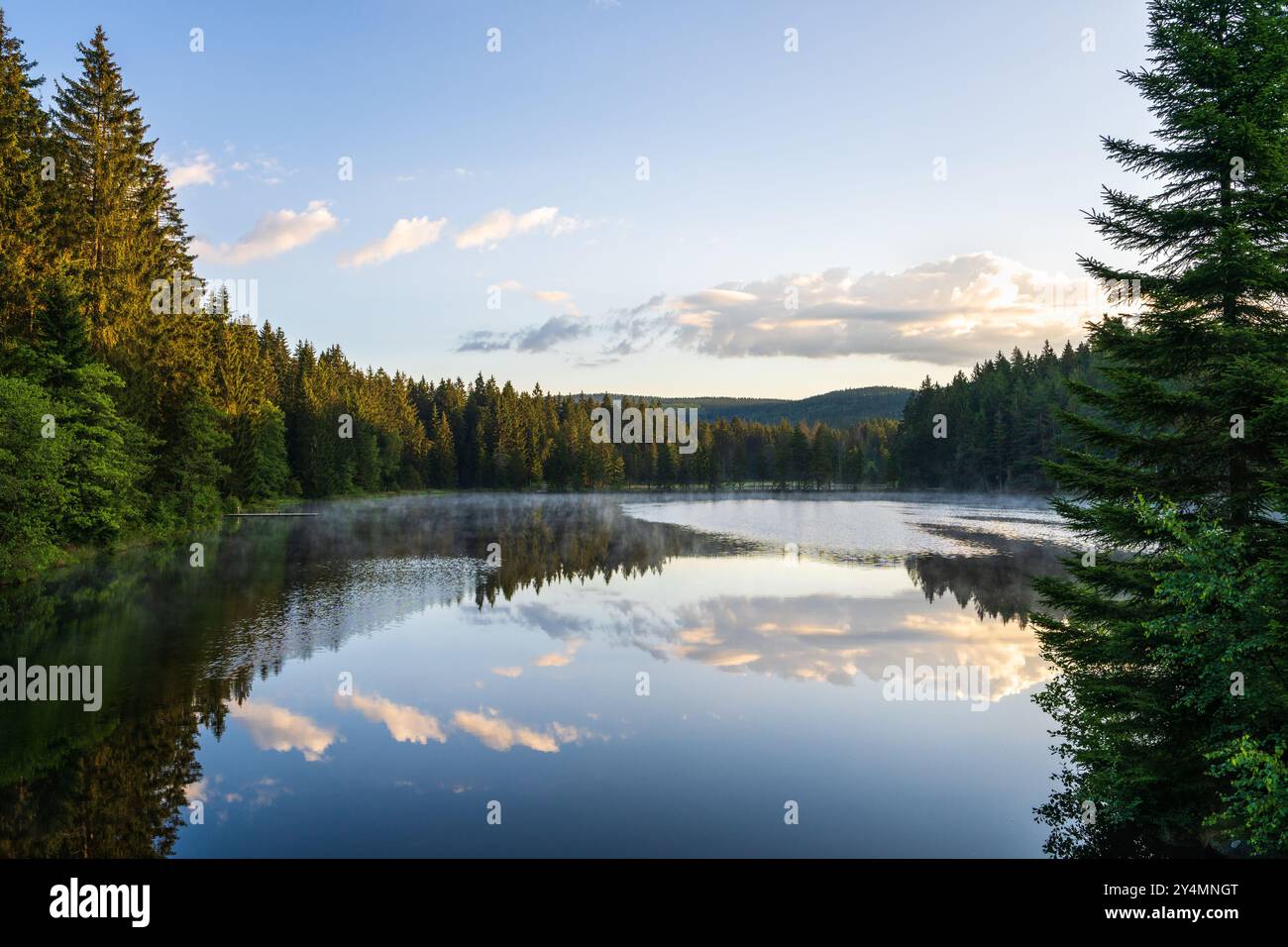 Piccolo e pittoresco lago immerso nella foresta di conifere. L'acqua riflette alberi, nuvole, cielo. Foto di alta qualità Foto Stock