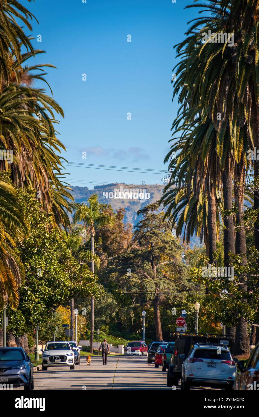 Los Angeles, Stati Uniti - 1° aprile 2024: Vista panoramica della famosa insegna di Hollywood attraverso le palme contro il cielo blu Foto Stock