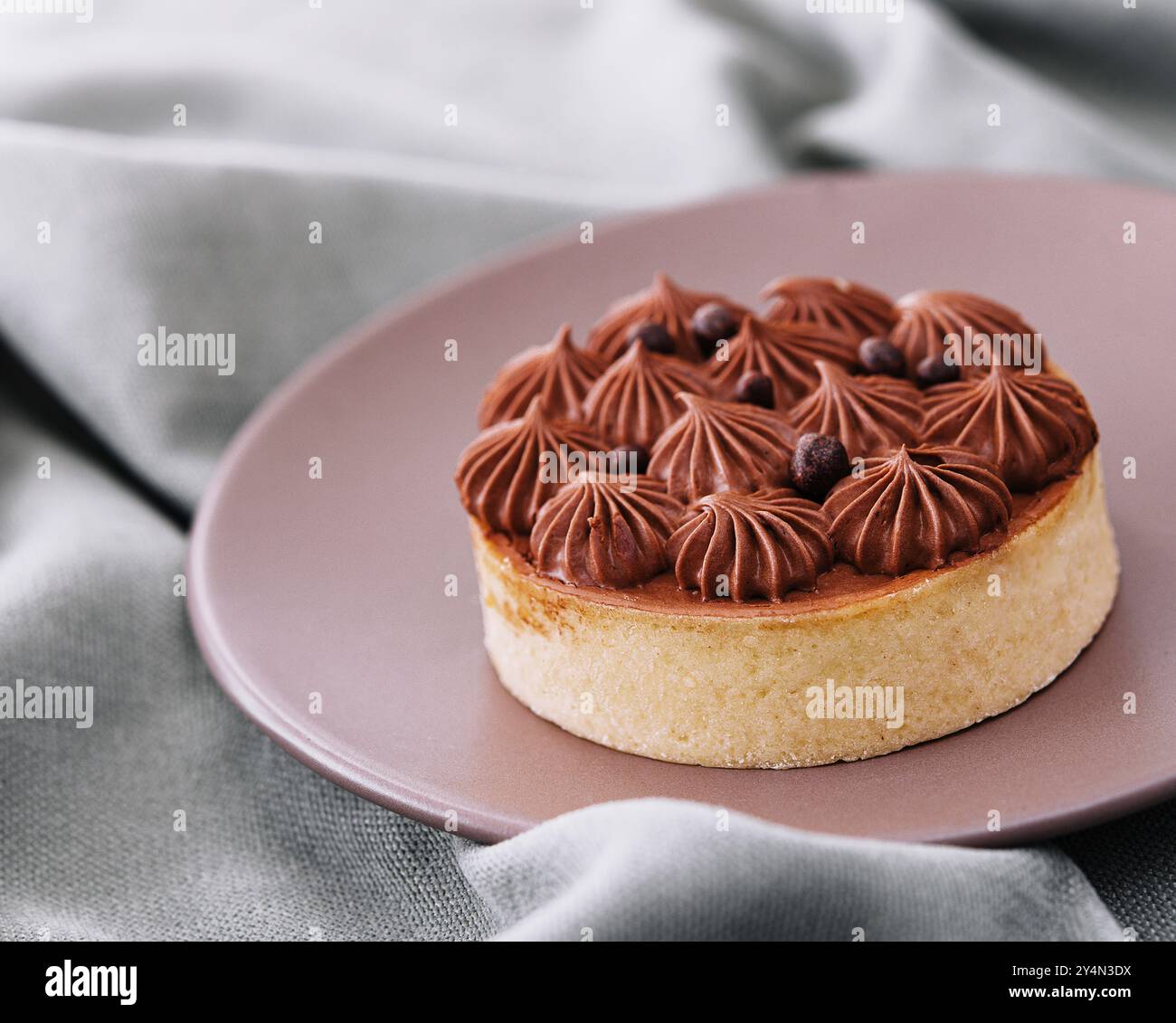 Torta al cioccolato su un piatto di ceramica Foto Stock