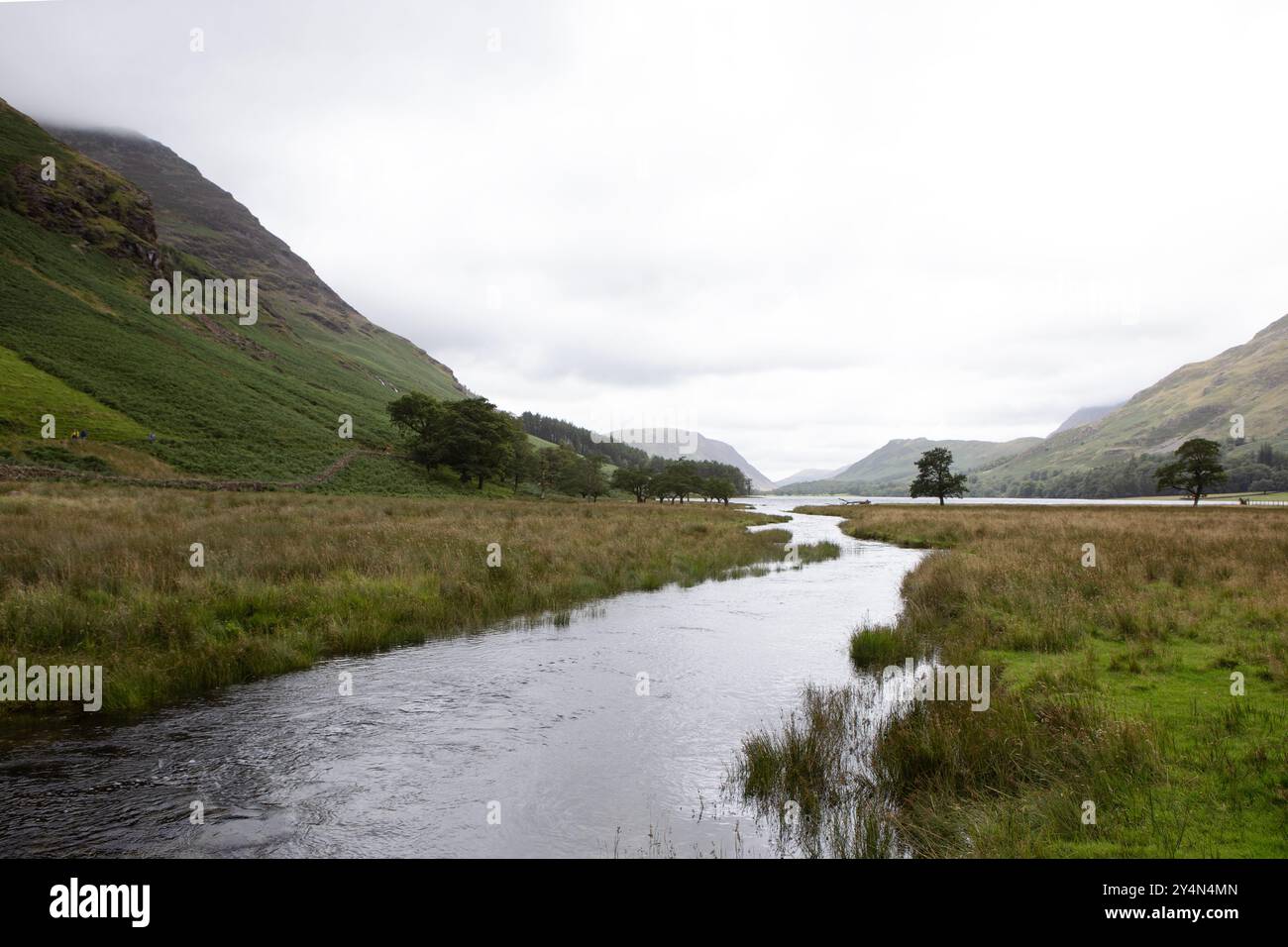 Un torrente sfocia nel lago Buttermere nel Lake District Foto Stock